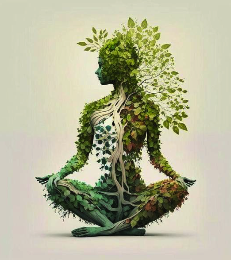 Préparation de repas sain